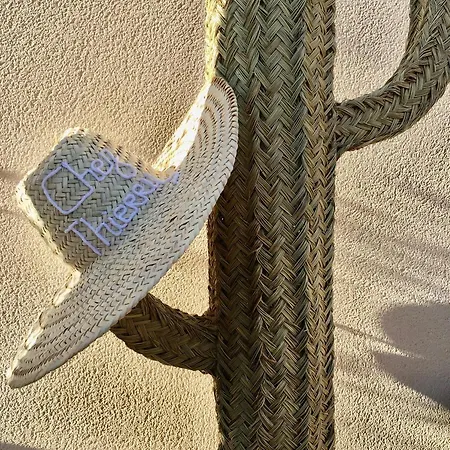 Bed & Breakfast D'hotes Chez Thierry Saint-Laurent-dʼAigouze